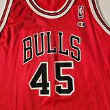 Vintage 1995 Bulls Champion Jordan #45 jersey made in USA