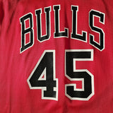 Vintage 1995 Bulls Champion Jordan #45 jersey made in USA