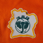 2008-09 Ivory Coast Puma Drogba shirt