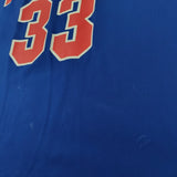1995-96 blue Detroit Pistons Champion Grant Hill #33 basketball jersey