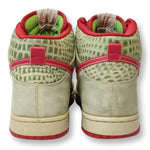 2007 green Nike Dunk High Dr. Feelgood | retroiscooler 5