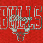 Vintage Bulls Champion reversible jersey made in USA